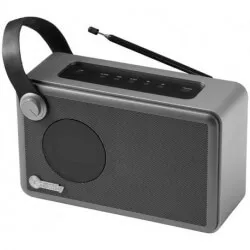 Radio z budzikiem i głośnikiem Bluetooth, WHIRL